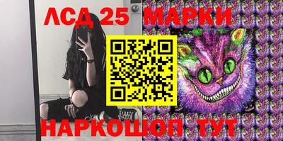 гашик Славгород