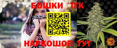 гашик Славгород