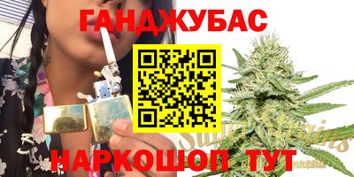 гашик Славгород