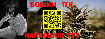 гашик Славгород