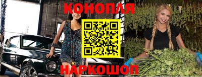 гашик Славгород