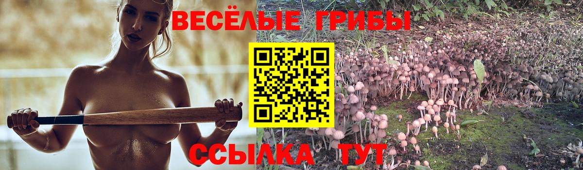 Ржев  Псилоцибиновые грибы Cubensis  Вход с VPN 