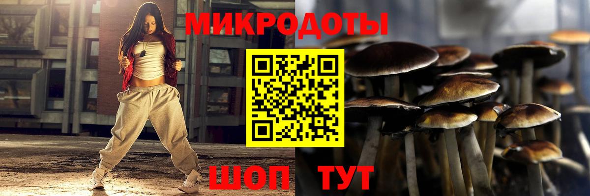 Галлюциногенные грибы Psilocybe Ржев